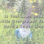 Is Your Lawn Looking a Little Overgrown? You Could Have a Sewer Line Leak.