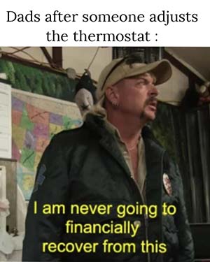Image: Tiger King meme about thermostats.