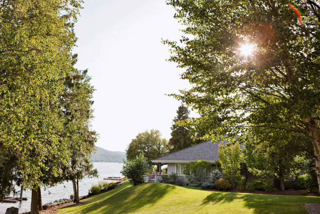 house shaded with trees and scrubs