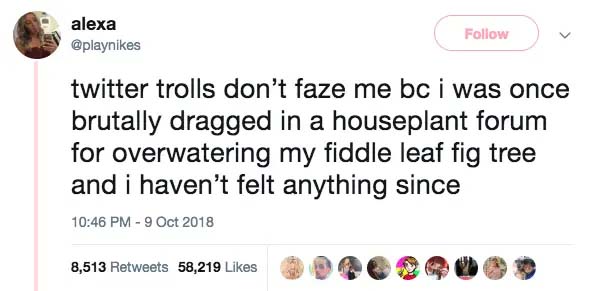 houseplant tweet