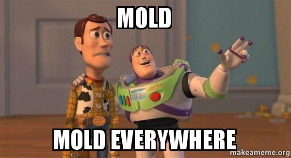 mold meme 