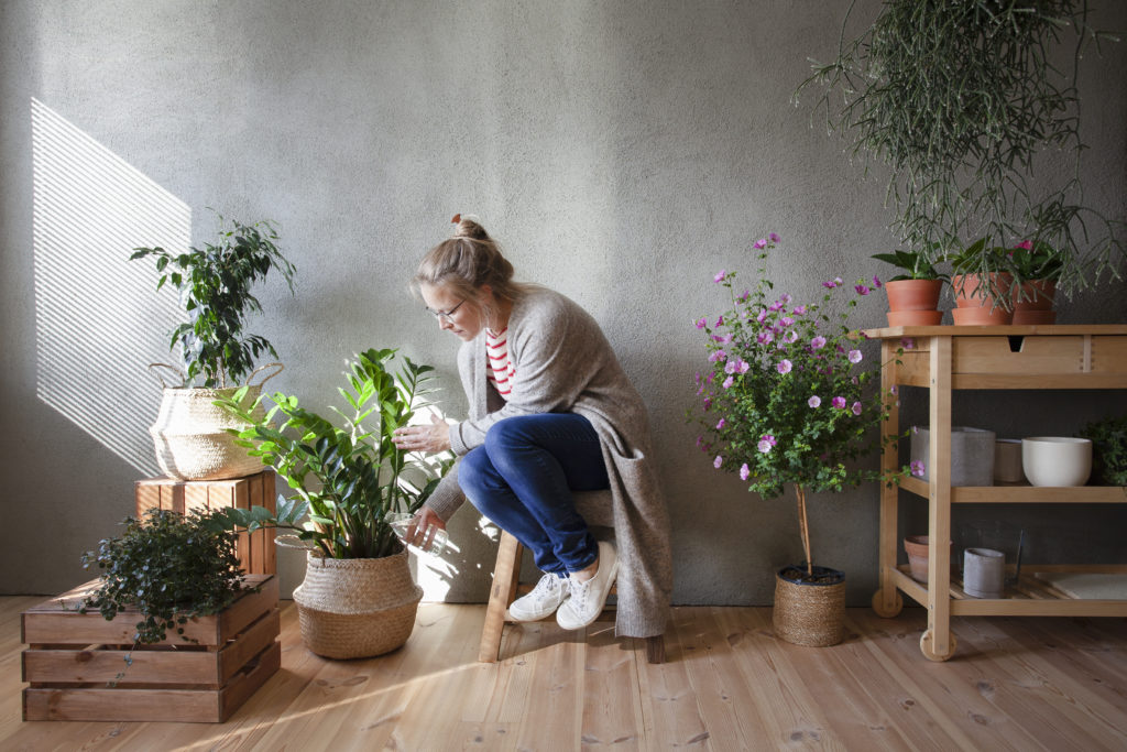 lady watering her plant