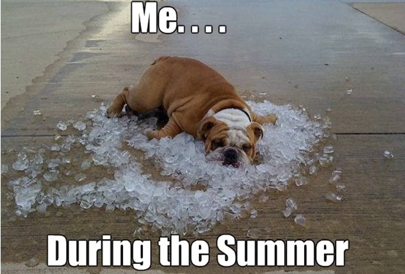 ice to keep cool during the summer 